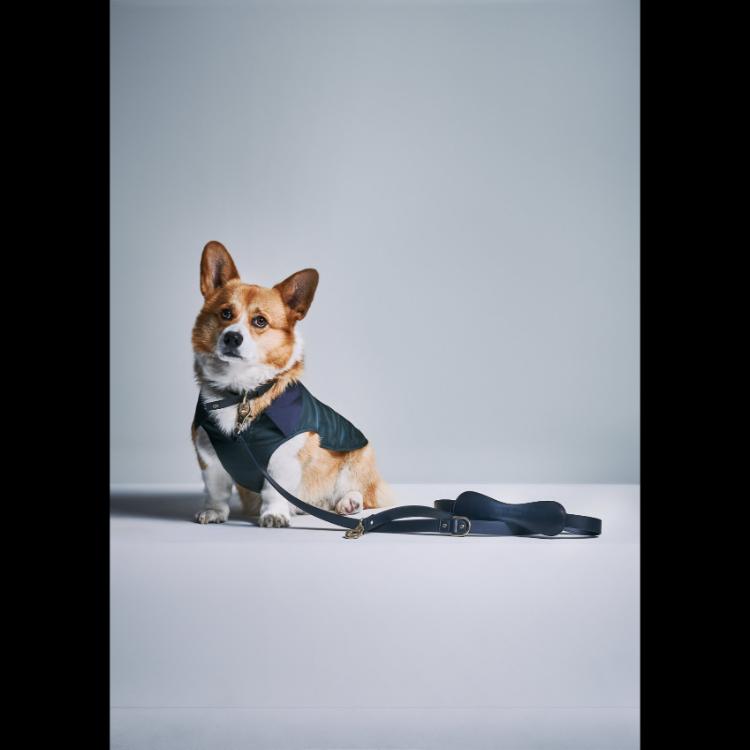 giorgio-armani-i-poldo-dog-couture-nova-kolekcija-za-ljubimce-u-znaku-elegancije-4