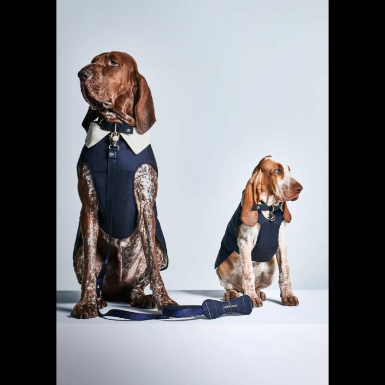 giorgio-armani-i-poldo-dog-couture-nova-kolekcija-za-ljubimce-u-znaku-elegancije-10