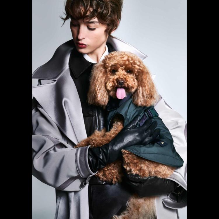 giorgio-armani-i-poldo-dog-couture-nova-kolekcija-za-ljubimce-u-znaku-elegancije-15