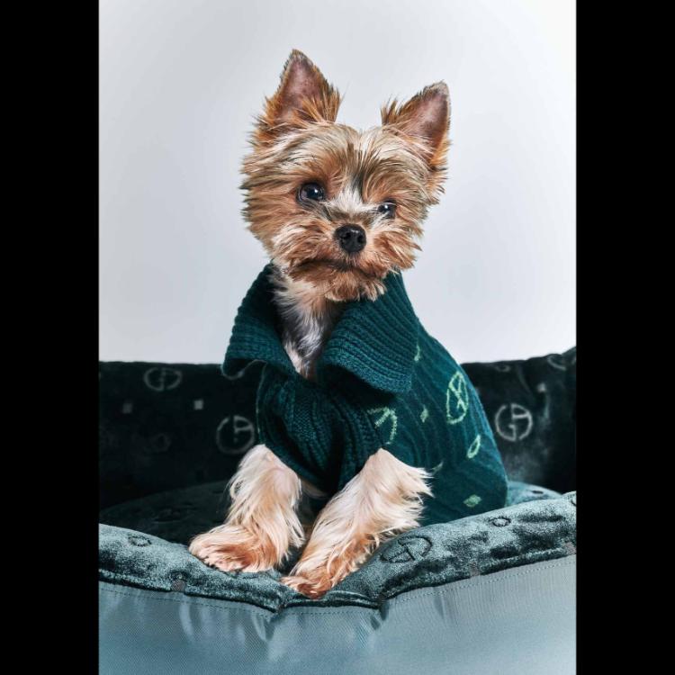 giorgio-armani-i-poldo-dog-couture-nova-kolekcija-za-ljubimce-u-znaku-elegancije-18