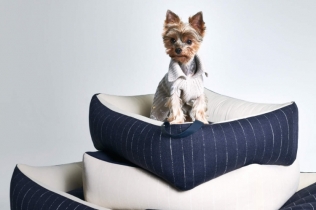 Giorgio Armani i Poldo Dog Couture: Nova kolekcija za ljubimce u znaku elegancije